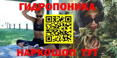 гидропоника Будённовск
