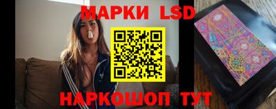 гидропоника Будённовск