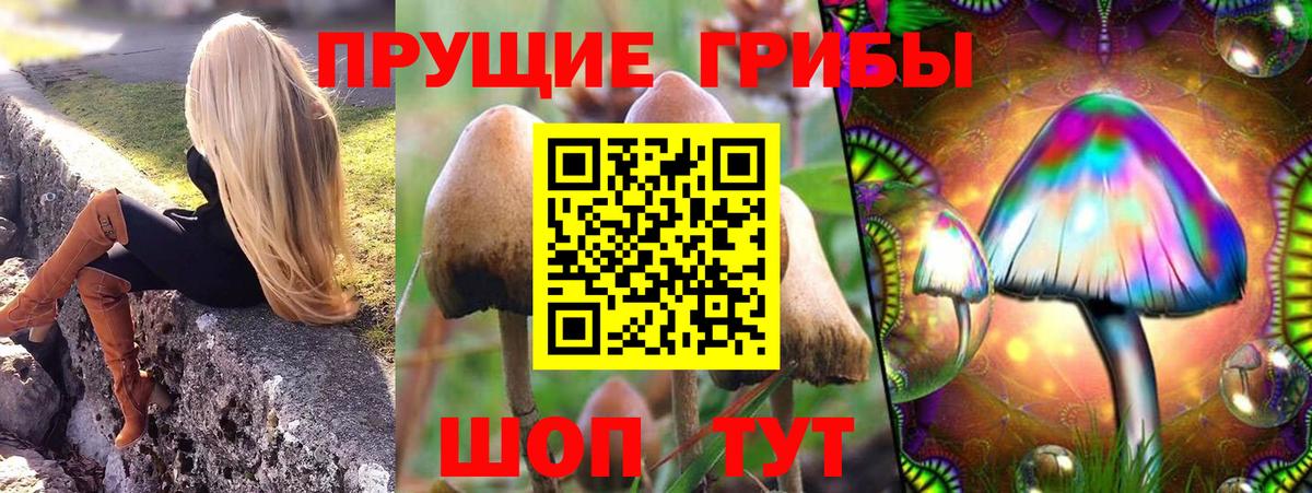Псилоцибиновые грибы ЛСД Ростов Великий